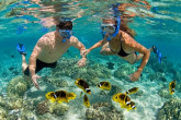 Tour Cù Lao Chàm – Lặn Ngắm San Hô Bán Đảo Sơn Trà 2 Ngày 1 Đêm