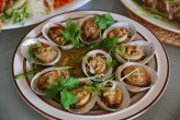 Bào ngư Cù Lao Chàm