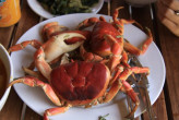 Tour Cù Lao Chàm 2 Ngày 1 đêm (đi chiều về sáng)