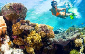 Tour Đà Nẵng – Cù Lao Chàm Ghép Khách